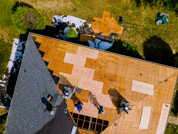 Trusted Fraser, CO Roofing Contractor Experts